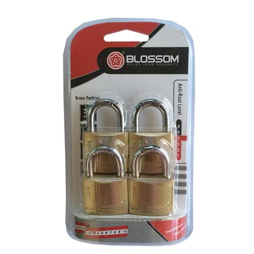 PADLOCK 20MM (4PCS) + 5 KEYS BLOSSOM