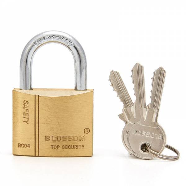 PADLOCK 20MM (4PCS) + 5 KEYS BLOSSOM