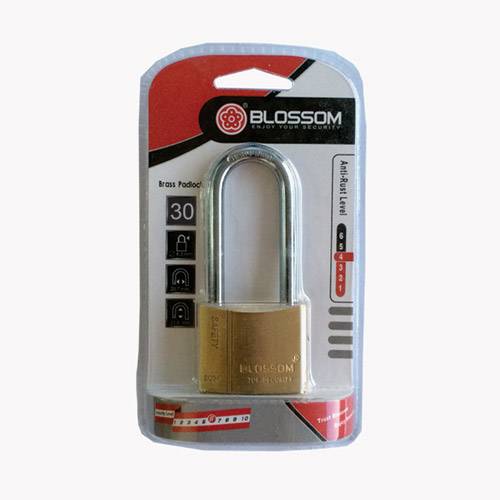 PADLOCK 30MM LONG + 3 KEYS BLOSSOM